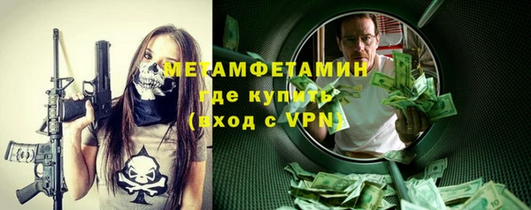 гидра Кодинск