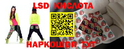 стафф Аргун